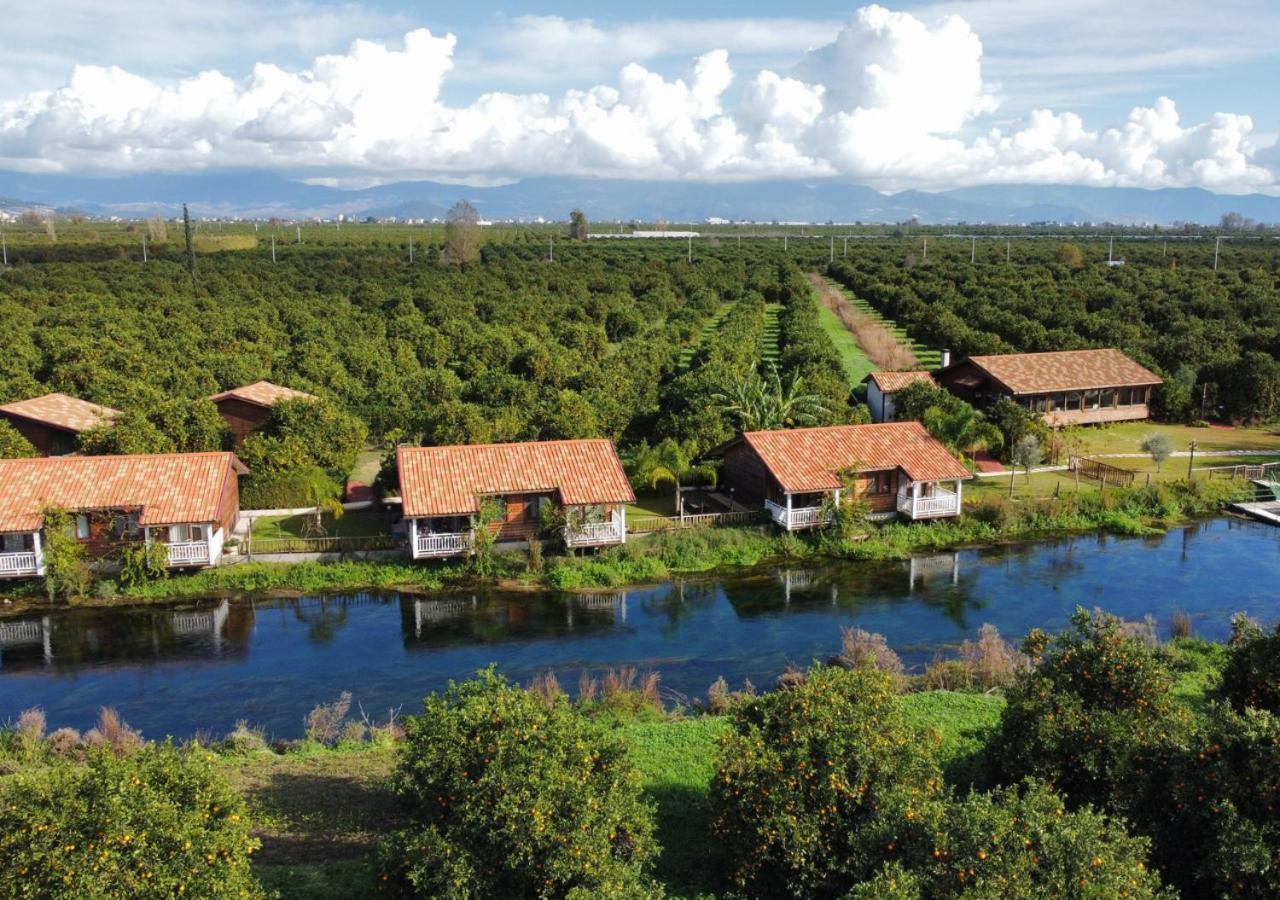 Turkuazkoey Guest House ฟินิเค ภายนอก รูปภาพ